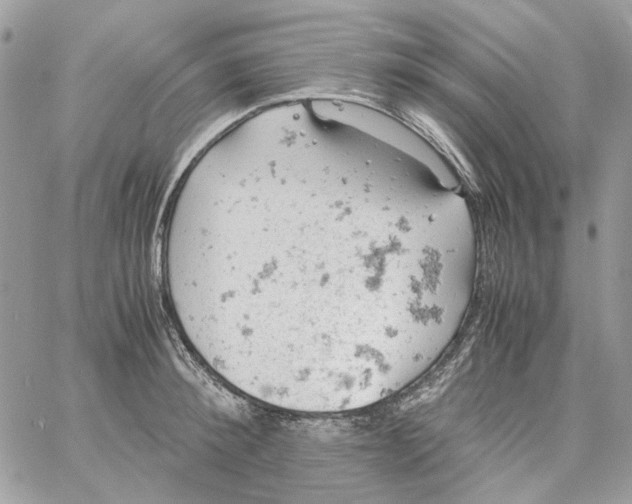 X0000061740900200512302208