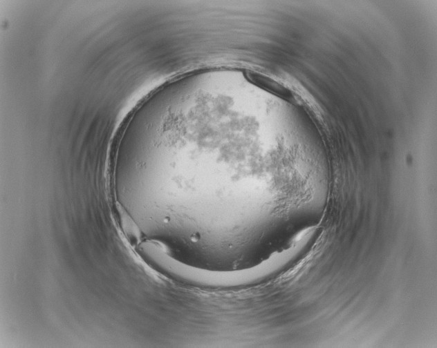 X0000061740902200512302208