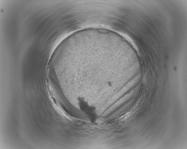 X0000061740903200512302208