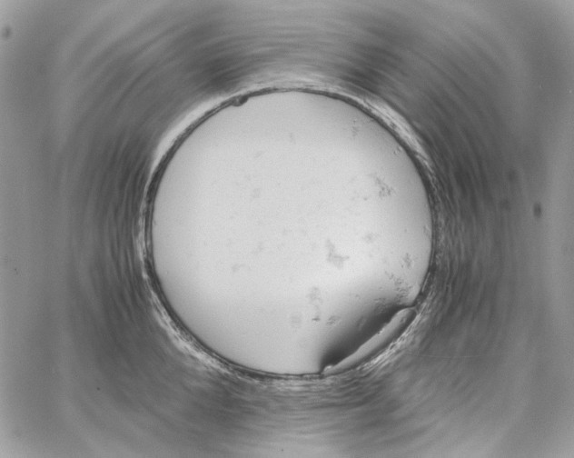 X0000061740904200512302208