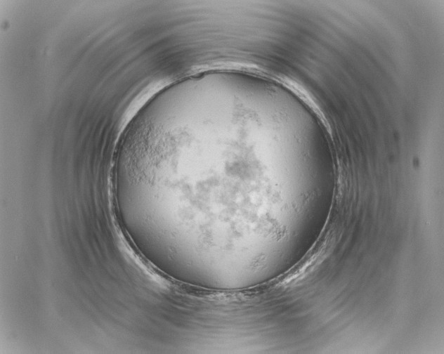 X0000061740906200512302208