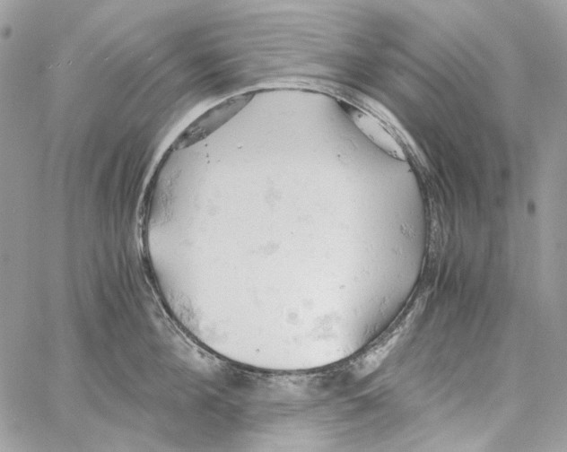 X0000061740908200512302208