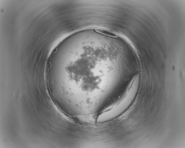 X0000061740910200512302208