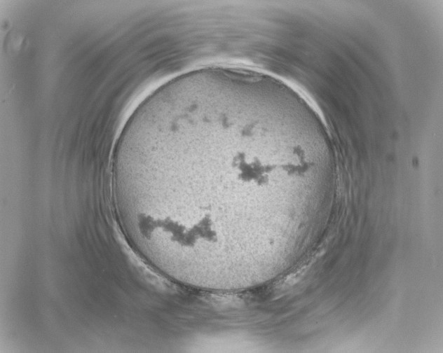 X0000061740911200512302208