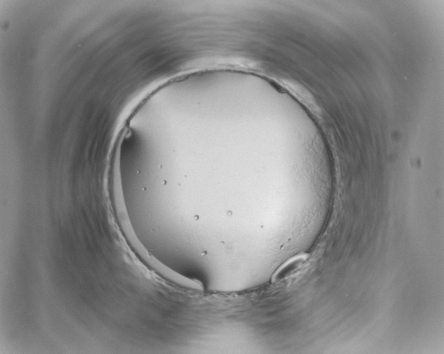 X0000061740912200512302208