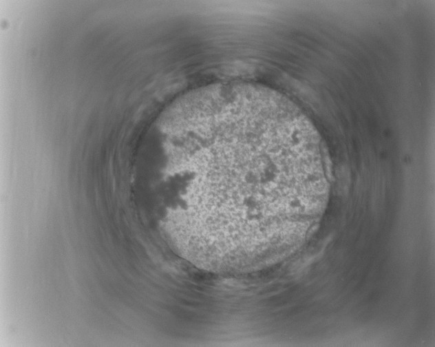 X0000061740913200512302207