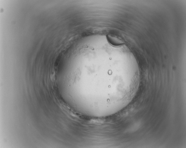 X0000061740914200512302207