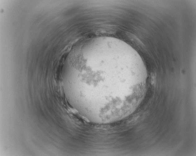 X0000061740915200512302207