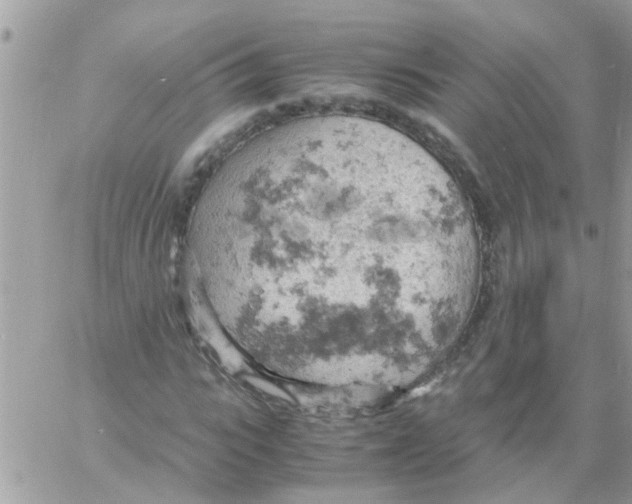 X0000061740919200512302207