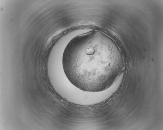 X0000061740920200512302207