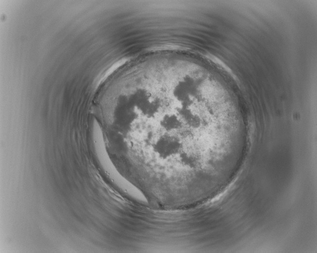 X0000061740921200512302207