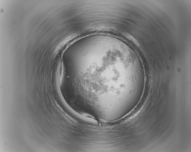 X0000061740922200512302207