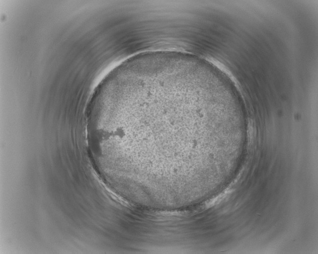 X0000061740925200512302207