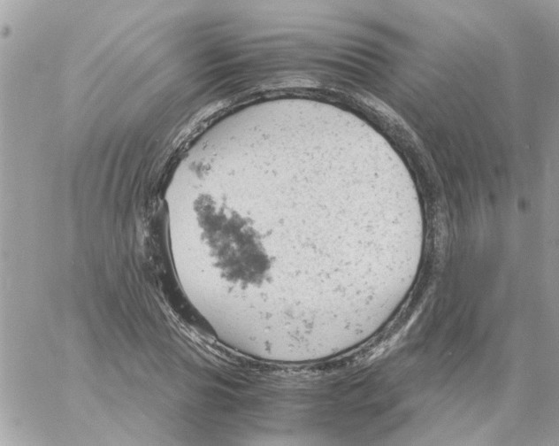 X0000061740929200512302208