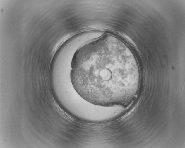 X0000061740930200512302208