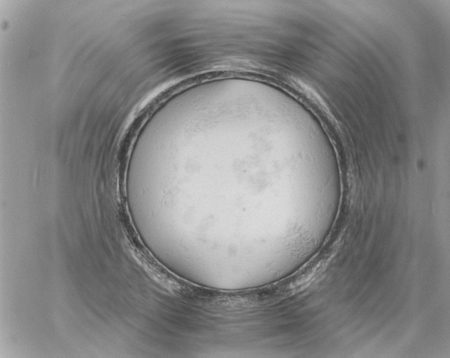 X0000061740931200512302208