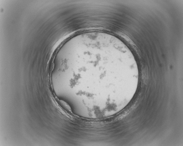 X0000061740933200512302208