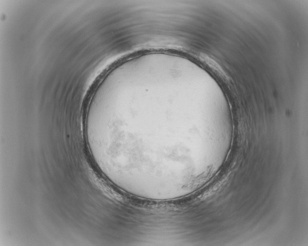 X0000061740934200512302208