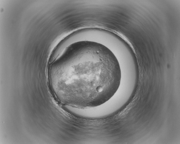 X0000061740935200512302208