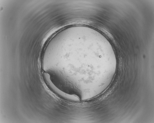 X0000061740936200512302208