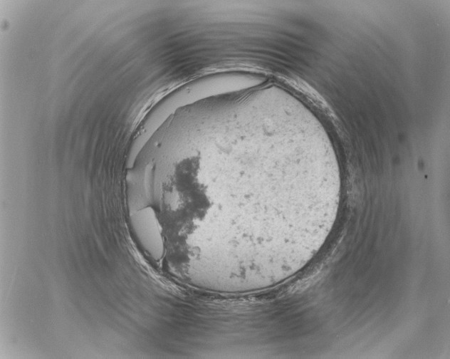 X0000061740937200512302208