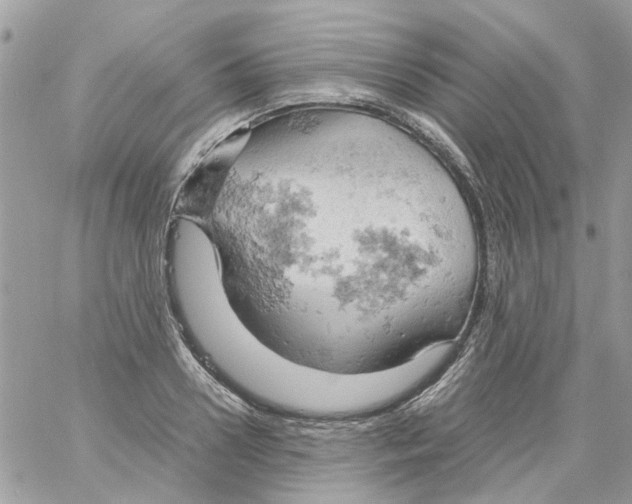 X0000061740938200512302208