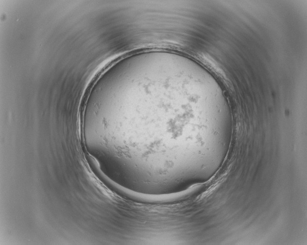 X0000061740940200512302208