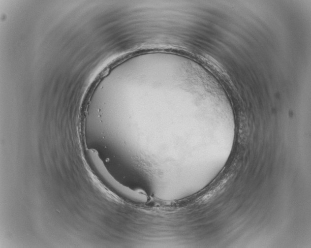 X0000061740942200512302208