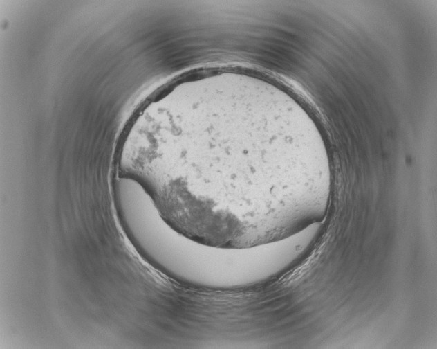 X0000061740943200512302208