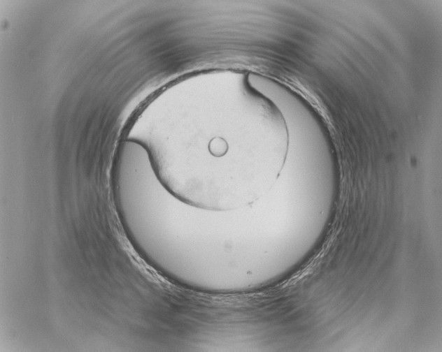 X0000061740944200512302208