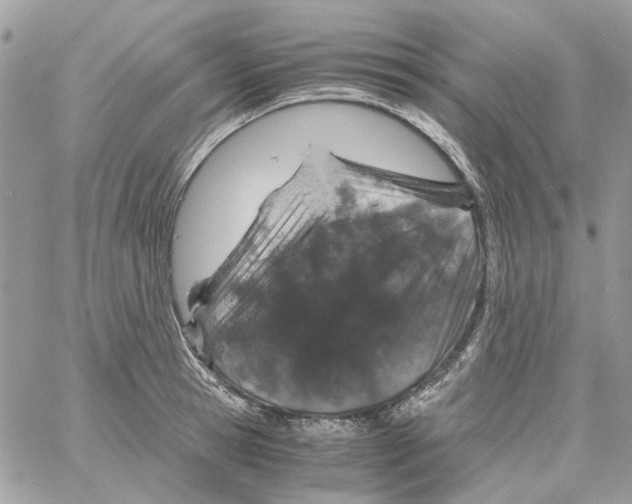 X0000061740945200512302208