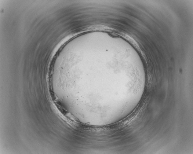 X0000061740947200512302208