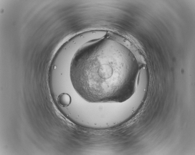 X0000061740950200512302208