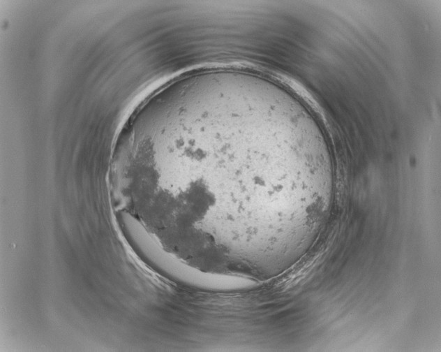 X0000061740951200512302208