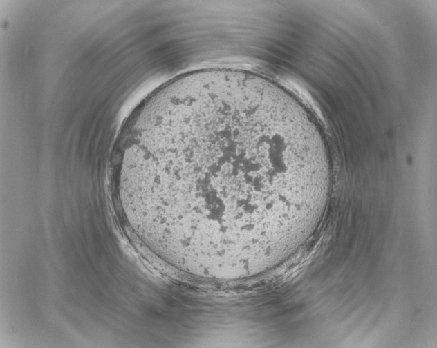 X0000061740952200512302208