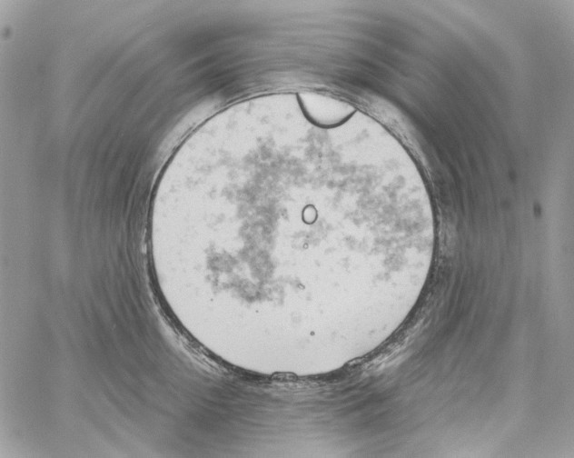 X0000061740954200512302208