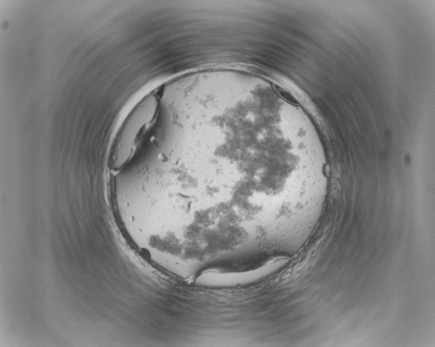 X0000061740955200512302208