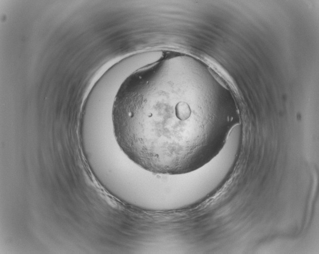 X0000061740956200512302208