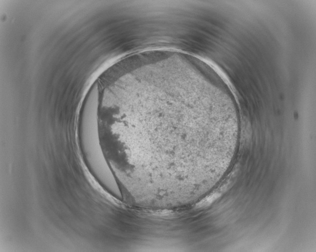 X0000061740957200512302208