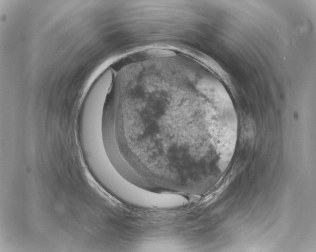 X0000061740958200512302208