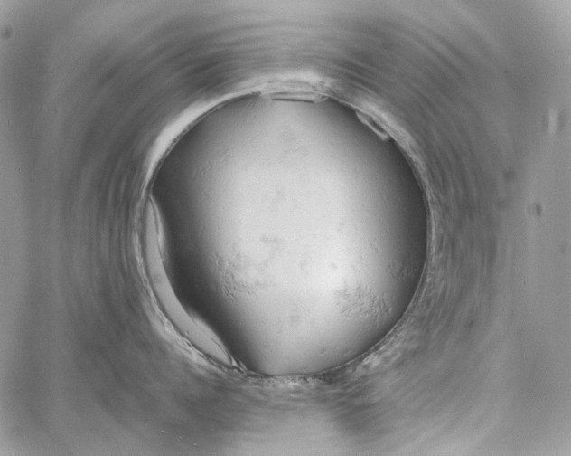 X0000061740960200512302208