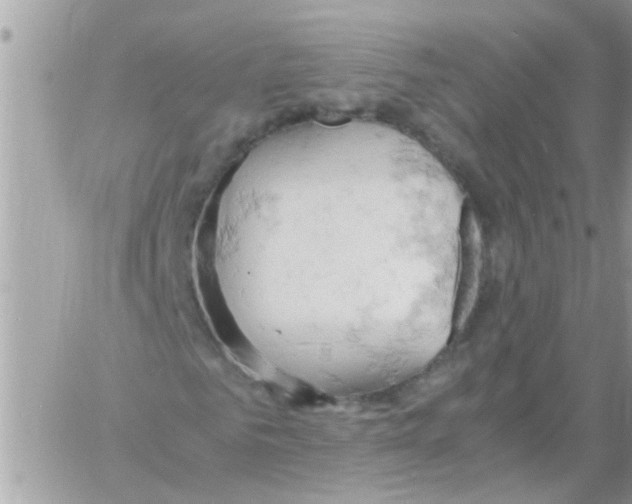 X0000061740961200512302207