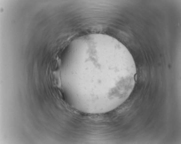 X0000061740962200512302207