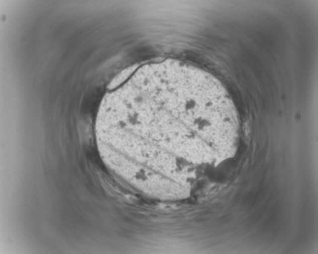 X0000061740963200512302207