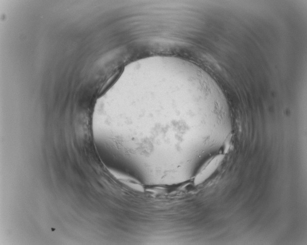 X0000061740964200512302207