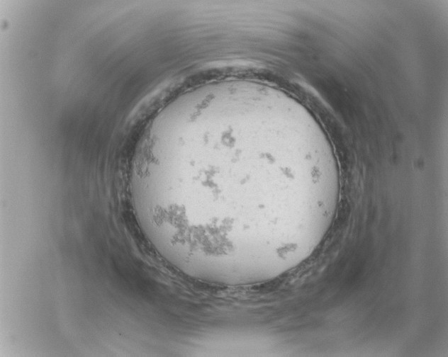 X0000061740967200512302207