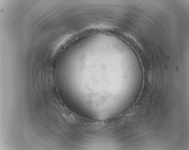 X0000061740968200512302207