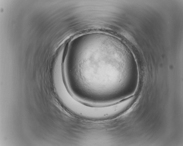 X0000061740969200512302207