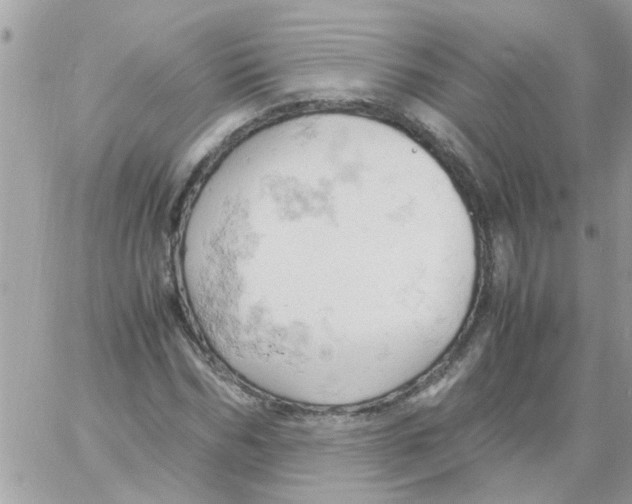 X0000061740970200512302207