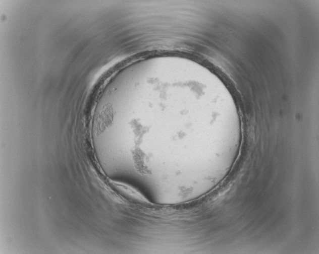 X0000061740971200512302207